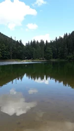 20170808_142446.webp