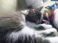 _20180610_224039.jpeg