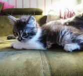 _20180610_223740.jpg