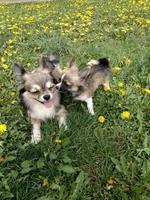  сын к отцу пришел.webp