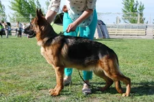 IMG-da35f910a3228591b991f93fae8ee54e-V.webp
