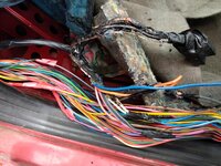 IMG_20180624_132619.jpg