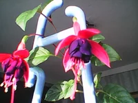 Photo0278.webp