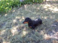 1529668428303.webp