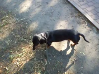 1529641948074.webp