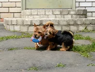 P1370170.webp