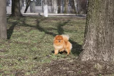  3560.webp