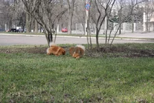  3568.webp
