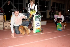  3590.webp