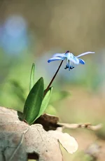 DSC_0443 3 чр_1.webp