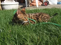 Resize of DSCF9846.webp