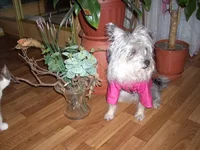 0У.webp