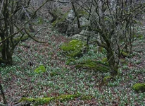 DSC_8473a3_res.jpg