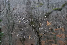 DSC_8480a1_res.jpg