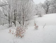 DSC_8658a2_res.jpg