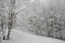DSC_8663a_res.jpg
