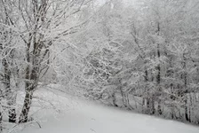 DSC_8663a_res.webp