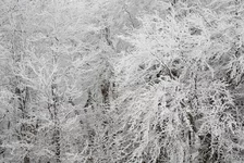 DSC_8666a_res.jpg