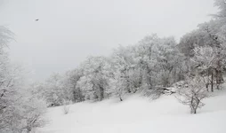 DSC_8678a1_res.webp
