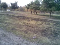 07042010(001).webp