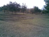 08042010.webp