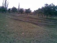 08042010(001).webp