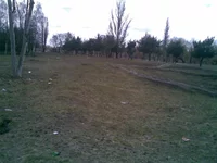 08042010(002).webp