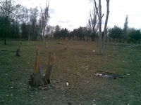08042010(004).webp