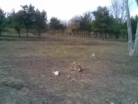 08042010(006).webp