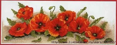 55065954_081.webp