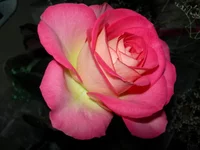 DSCN8830.jpg