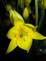 DSCN9088.webp