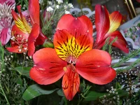 DSCN9711.webp