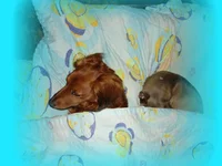 DSC08737.webp
