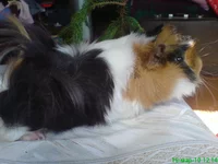 DSC03186.webp