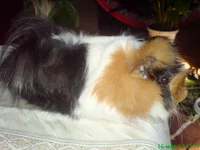 DSC03191.webp