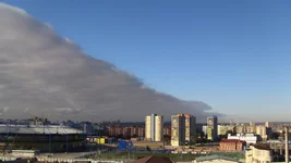 IMG_0439сж1.webp
