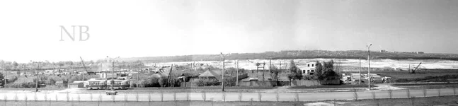 P.m_L.001.webp