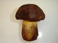 DSC06773.jpg
