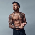 Lewis Hamilton 3.webp