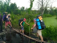 IMG_20180714_110259.webp
