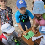 IMG_20180709_131725_471.webp