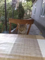 IMG_20180719_075541.webp