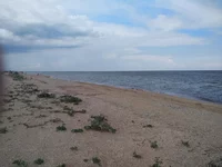 IMG_20180719_154812.webp