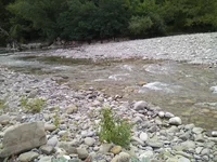 IMG_20180720_092101.webp