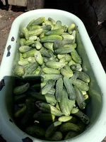 IMG_20180720_111516.webp