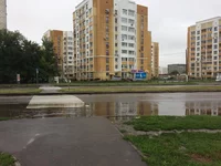 viber image.webp