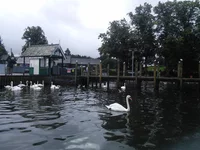 IMG_20160908_151040.webp