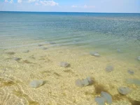 IMG_20180722_153850.webp