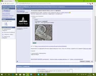  экрана (1).webp